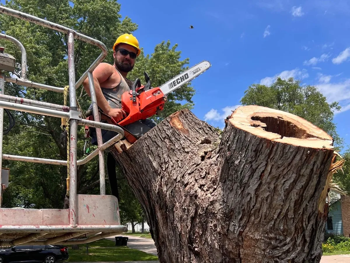 Professional tree removal Topeka KS